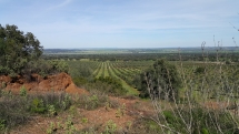 Moura landscape